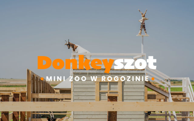 Mini ZOO DonkeySzot Rogozina