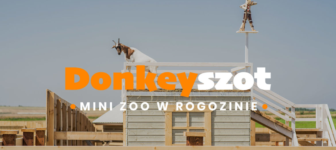 Mini ZOO DonkeySzot Rogozina